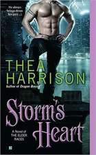 Storm's Heart: A Novel of the Elder Races