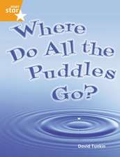 Rigby Star Guided Quest Orange: Where Do All the Puddles Go? Pupil Book Single