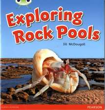 McDougall, J: Bug Club Green C Exploring Rock Pools 6-pack