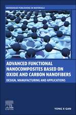 Advanced Functional Nanocomposites Based on Oxide and Carbon Nanofibers