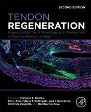 Tendon Regeneration: Understanding Tissue Physiology and Development to Engineer Functional Substitutes