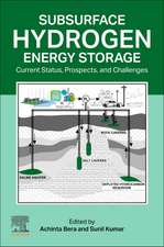 Subsurface Hydrogen Energy Storage: Current Status, Prospects, and Challenges