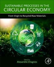 Sustainable Processes in the Circular Economy: From Virgin to Recycled Raw Materials