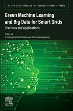 Green Machine Learning and Big Data for Smart Grids: Practices and Applications