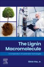 The Lignin Macromolecule: A Compendium of Sustainable Technologies