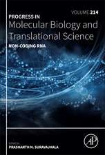 Non-coding RNA