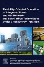 Flexibility-Oriented Operation of Integrated Power and Gas Networks and Low-Carbon Technologies Under Clean Energy Transition