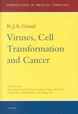 Viruses, Cell Transformation, and Cancer