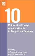 Ten Mathematical Essays on Approximation in Analysis and Topology: Ten Mathematical Essays