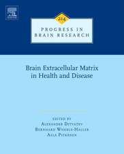 Brain Extracellular Matrix in Health and Disease