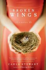 Broken Wings: A Novel