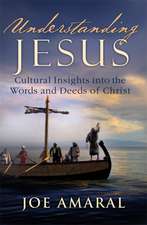 Understanding Jesus: Cultural Insights into the Words and Deeds of Christ