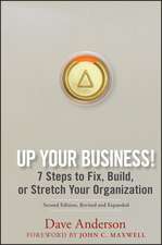 Up Your Business! – 7 Steps to Fix, Build or Stretch Your Organization 2e