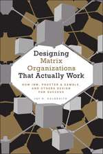 Designing Matrix Organizations That Actually Work – How IBM, Procter & Gamble, and Others Design for Success