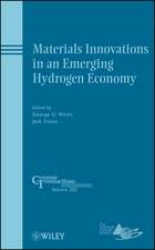 Materials Innovations in an Emerging Hydrogen Economy – Ceramic Transactions V 202