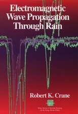 Electromagnetic Wave Propagation Through Rain