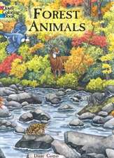 Forest Animals Coloring Book