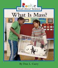 What Is Mass?