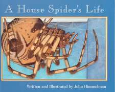 A House Spider's Life