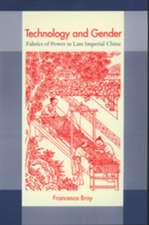 Technology & Gender – Fabrics of Power in Late Imperial China (Paper)