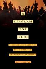 A Diagram for Fire – Miracles and Variation in an American Charismatic Movement