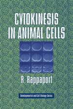 Cytokinesis in Animal Cells