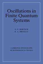 Oscillations in Finite Quantum Systems