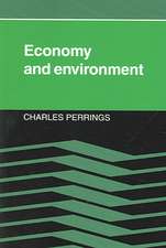 Economy and Environment: A Theoretical Essay on the Interdependence of Economic and Environmental Systems