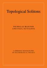 Topological Solitons