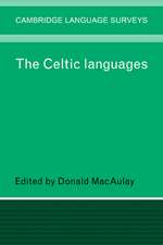 The Celtic Languages