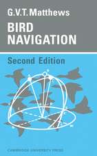 Bird Navigation