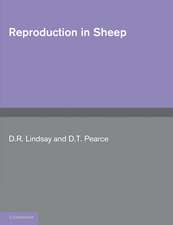 Reproduction in Sheep