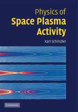 Physics of Space Plasma Activity