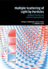 Multiple Scattering of Light by Particles