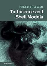 Turbulence and Shell Models