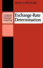 Exchange-Rate Determination