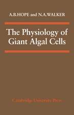 The Physiology of Giant Algal Cells