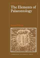 The Elements of Palaeontology