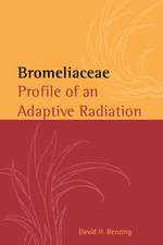 Bromeliaceae: Profile of an Adaptive Radiation