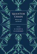 Quantum Chaos: Between Order and Disorder