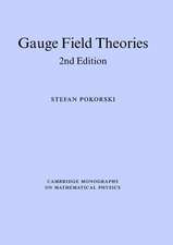 Gauge Field Theories