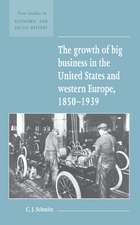 The Growth of Big Business in the United States and Western Europe, 1850–1939