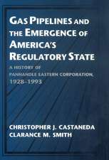 Gas Pipelines and the Emergence of America's Regulatory State: A History of Panhandle Eastern Corporation, 1928–1993