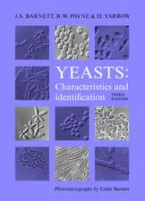 Yeasts: Characteristics and Identification