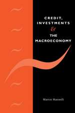 Credit, Investments and the Macroeconomy