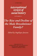 The Rise and Decline of the Male Breadwinner Family?