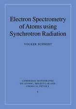 Electron Spectrometry of Atoms using Synchrotron Radiation