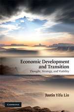 Economic Development and Transition: Thought, Strategy, and Viability