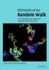 Elements of the Random Walk: An introduction for Advanced Students and Researchers