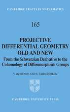 Projective Differential Geometry Old and New: From the Schwarzian Derivative to the Cohomology of Diffeomorphism Groups